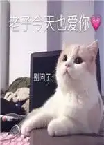我上去就是一瓢表情包好玩吗我上去就是一瓢表情包怎么玩用户评论
