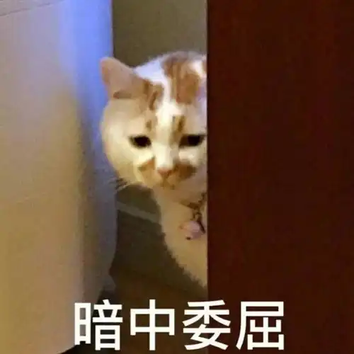 六重惊喜迎新春,n条爆款线路任你玩,超划算
