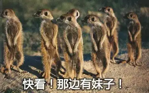 为啥酒店的浴室都是透明的
