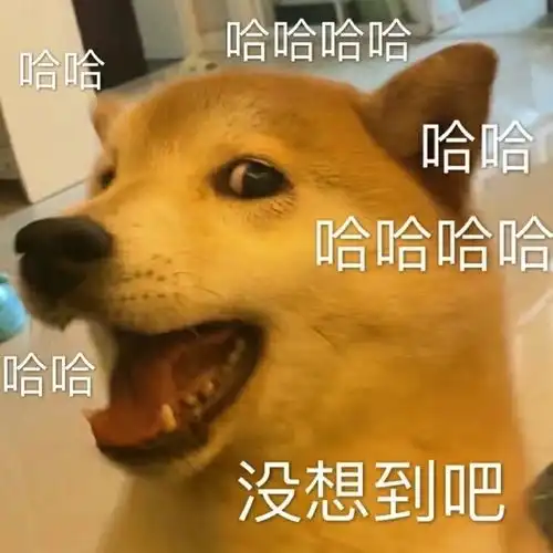 我们家一个红v大粉被人在匿名箱嘴了之后她的回复
