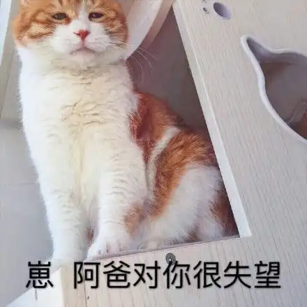转发这条锦鲤你就来自著名网黄猫日微博表情
