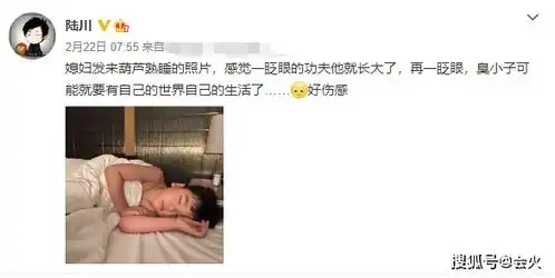 央视主持胡蝶罕晒娃,儿子脸蛋圆润萌味足,女儿长相神似爸爸陆川
