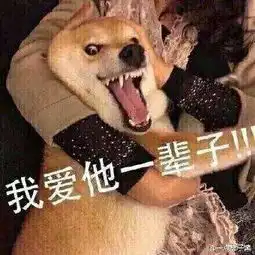 谁见过这个斗图表情包的底图求求求
