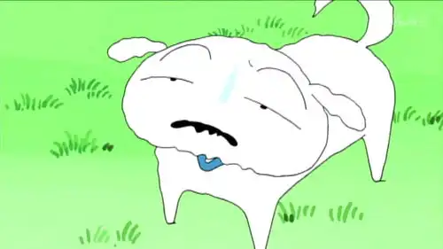 白神的表情合集
