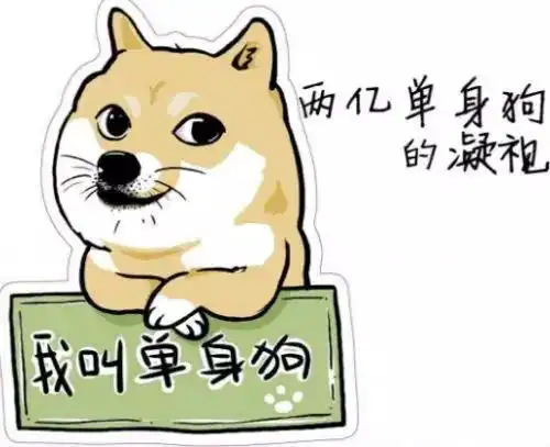 国家要包分配对象么
