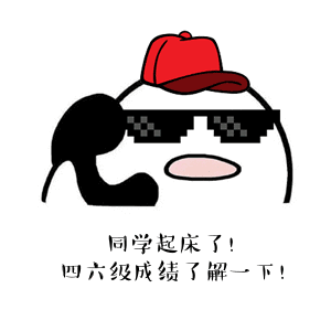 今天13点,四六级可以查分啦
