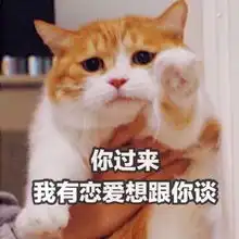 斗图表情包你过来,我有恋爱想跟你谈
