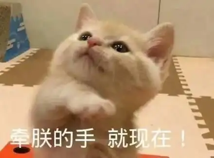 撩汉表情包在吗,有个恋爱想跟你谈一下
