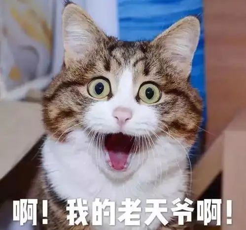 大雨暴雨石家庄今年入汛以来最强降雨来袭
