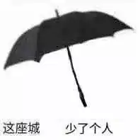 太坏了准备更坏暹罗猫表情包
