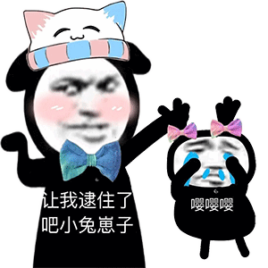 熊猫头表情包高清无白底
