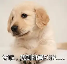 40年后,当我们老了,朋友圈里一定会是这样
