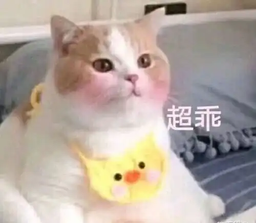 有没有可爱到让人两眼放光的小句子
