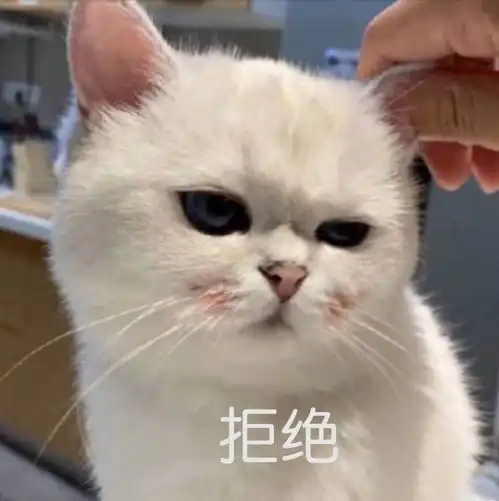 笑话十条妈妈,想用美人计能不能找个好看点的
