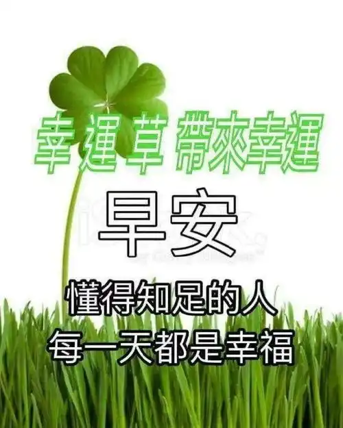 非常漂亮早安问候语图片唯美带字,微信早上好祝福语录大全
