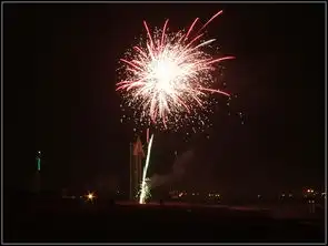 2011年2月14日情人节夜晚沙滩烟花
