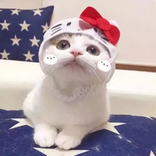 等等这里有一份佛系青年的日常中药养生

