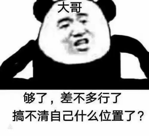 沙雕熊猫头模糊的沙雕熊猫头才是有灵魂的
