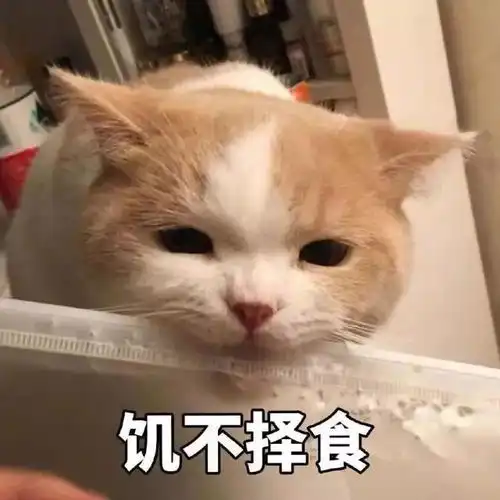 喵喵表情包,大家快来收藏喽
