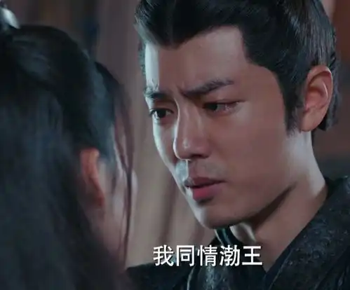 狼殿下疾冲决定与摘星和离,不是为了渤王,真相暴露自己的野心
