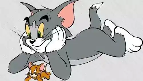 漫话人生猫和老鼠
