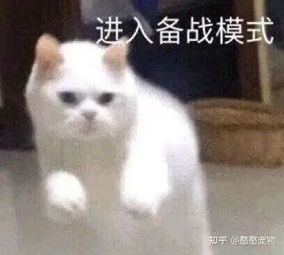 当你学喵叫时,猫主子都在想些什么
