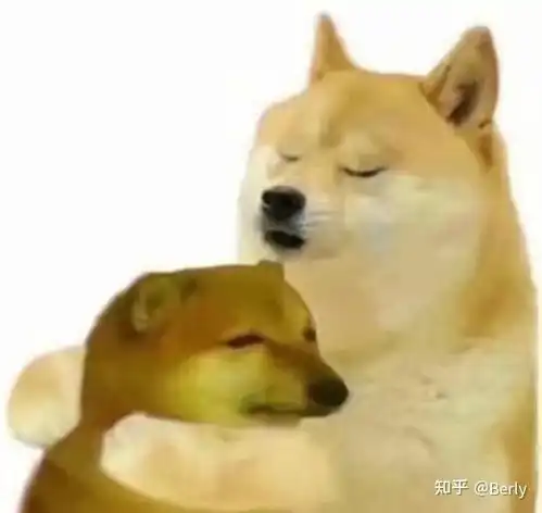 饿货小葱仔的短视频拍的怎么样
