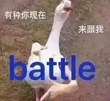 猫这辈子没服过谁,除了大鹅
