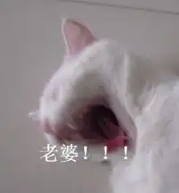 老公老婆表情包贴吧
