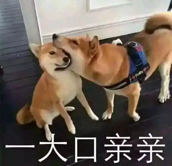 听说接吻可以减肥,真相是......
