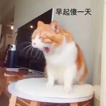 表情包我的喵喵拳就是要你好看
