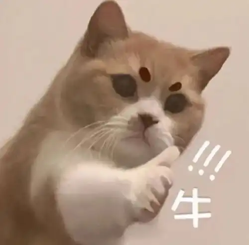 趣味表情包三十一,你不胖,只是毛茸茸的腾讯新闻
