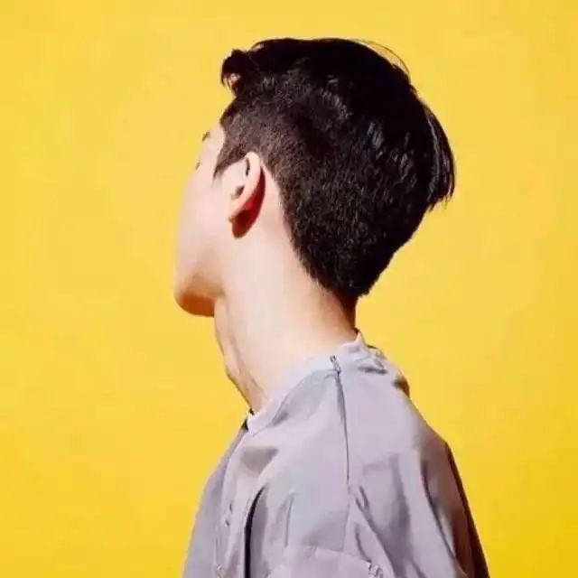 辛巴为了复出,跪下了
