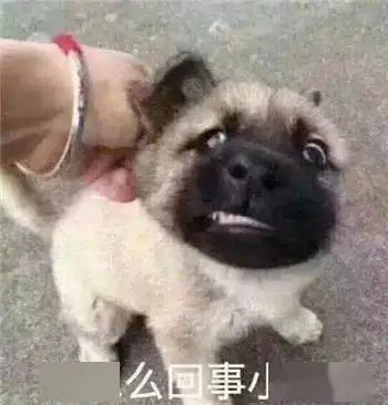 为什么捏住后颈就能让狗狗老老实实解密后颈肉封印术
