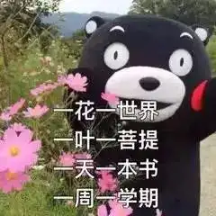 大学教材的四大金刚,本本看完让你哭
