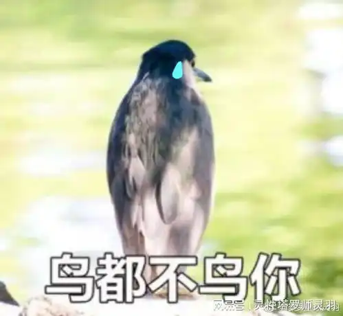 你的正缘身高188,家里有矿高富帅
