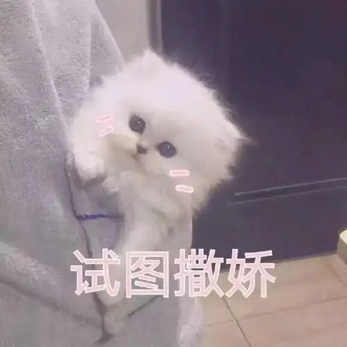 星星点亮黑夜,感恩照亮心灵
