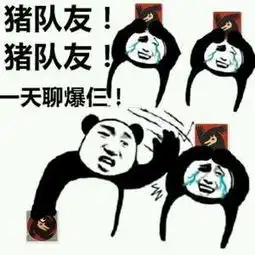 表情包日常这里是预言家
