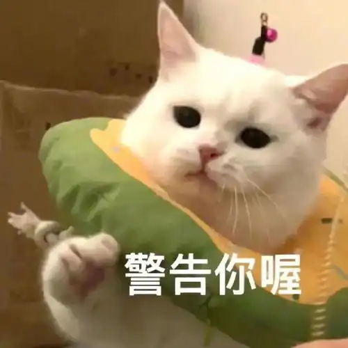 桑切斯都50了,肉还长在该长的位置看完你就明白了
