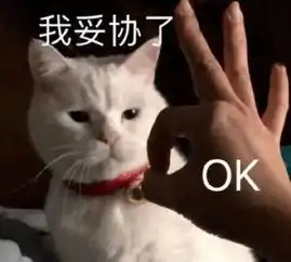 还在刷屏996澳洲19岁小哥日赚1000已经在计划退休...这才是真的人生赢家
