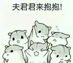 仓鼠抱瓜子堆糖,美好生活研究所
