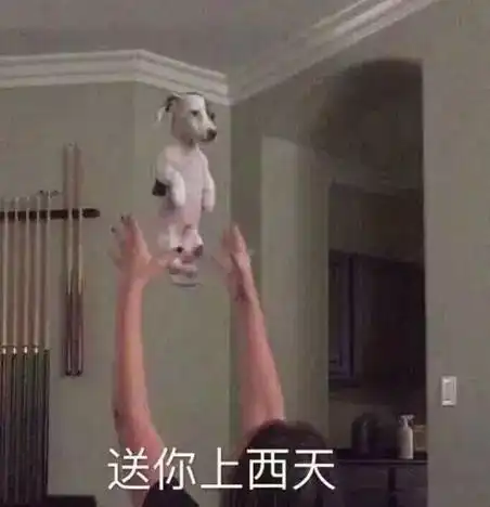 上海本周末或入夏明后天逼近30,身上的肉再也藏不住了
