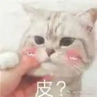 陌猫咪表情图
