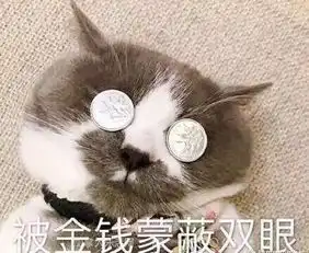 曾被央视点名的传销组织侵入加拿大,专盯留学生
