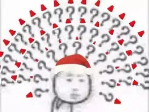 不明白为何大家对圣诞节这么看重

