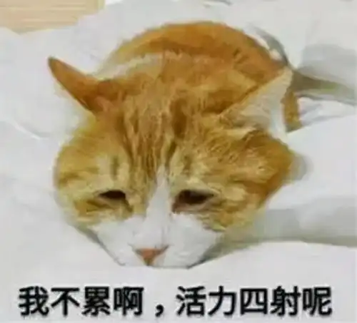 15周的幼儿园,加3周的高三,这是谁的大学生活
