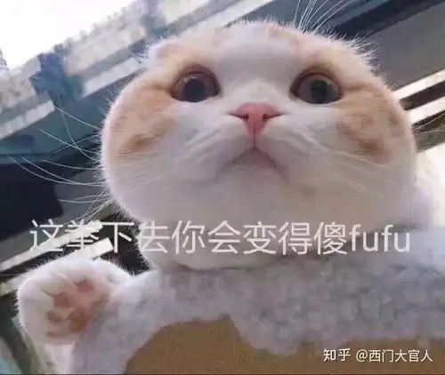 武僧一龙的真实实力到底怎么样和巅峰柳海龙或巅峰嘴炮打能逞几回合
