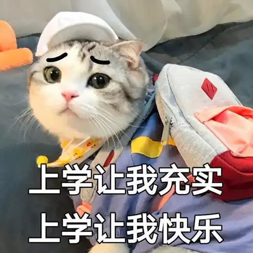 幽默笑话大师,你们这边wifi密码是什么
