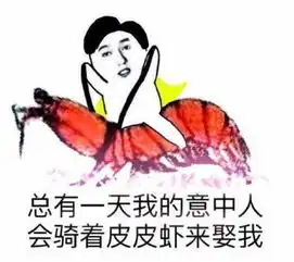 为什么你们都要骑皮皮虾你考虑过皮皮虾的感受吗
