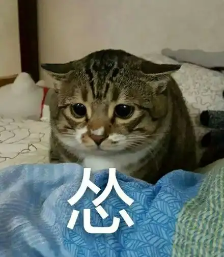 黄喵喵表情包
